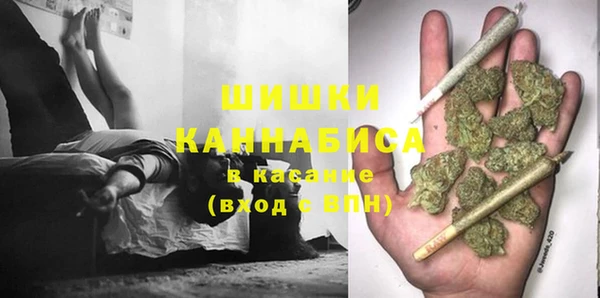 spice Медногорск