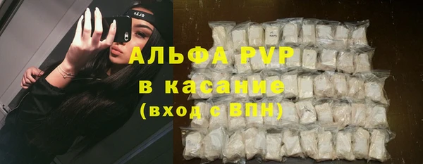 spice Медногорск