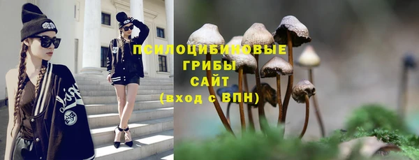 бутират Медвежьегорск