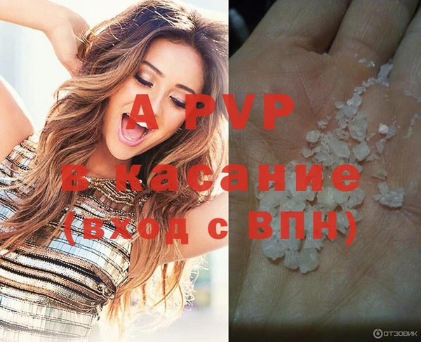 spice Медногорск