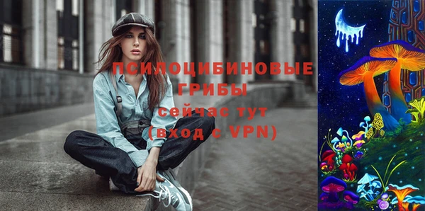 spice Медногорск