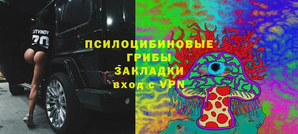 spice Медногорск