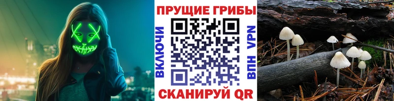 Галлюциногенные грибы MAGIC MUSHROOMS  Кириллов 