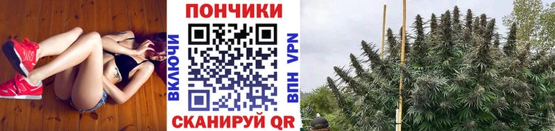 Конопля Ganja  цена наркотик  Кириллов 